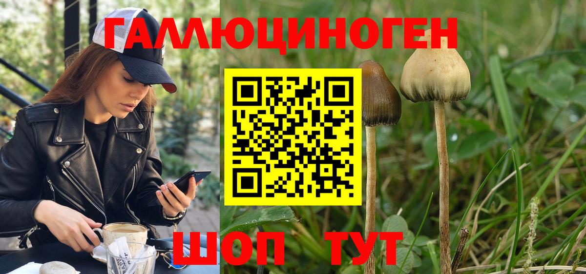 Псилоцибиновые грибы ЛСД Ахтубинск